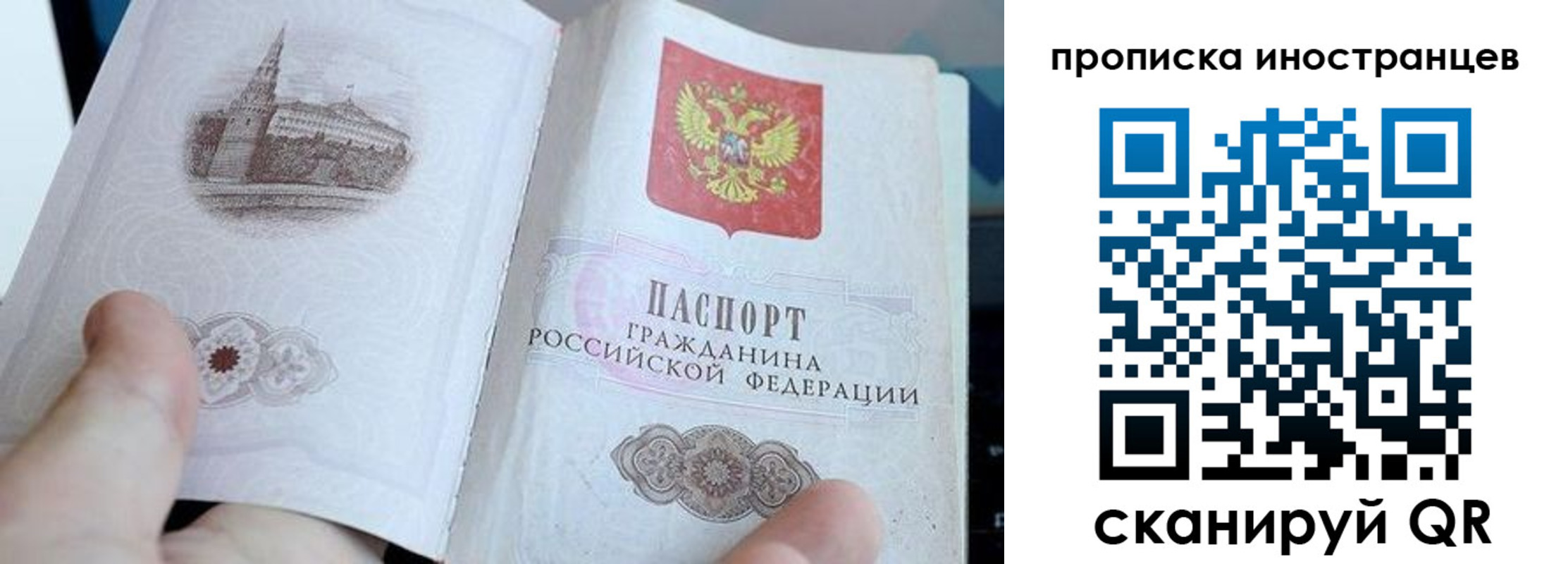 прописка поиск в Тосно